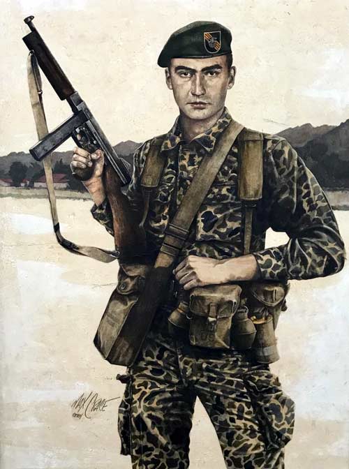 painting of green beret